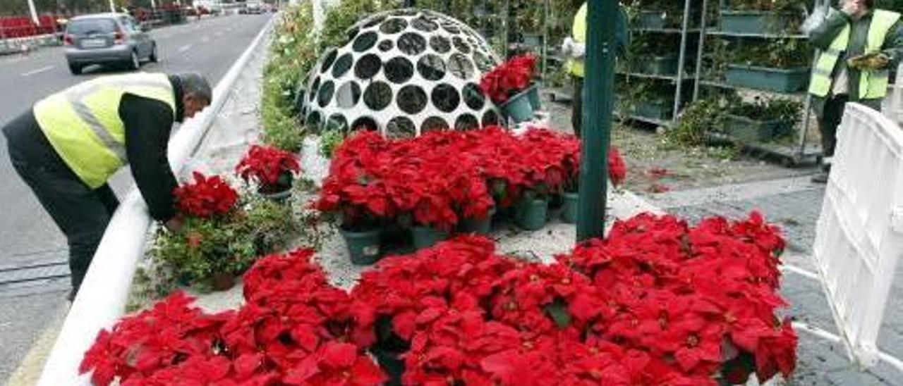 Un puente de las Flores de bajo coste