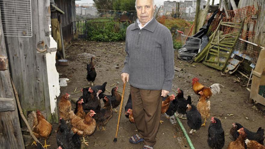 El vecino de A Gramela, Manuel Mahía, con sus gallinas