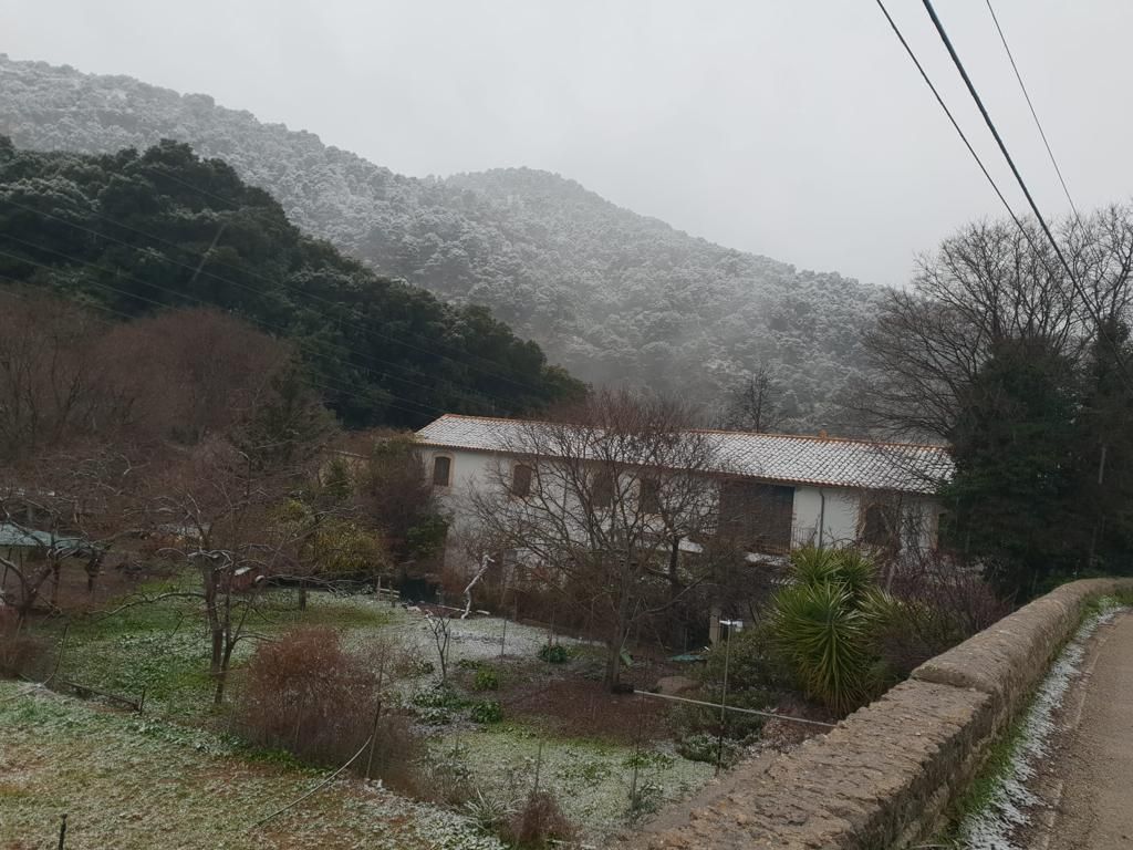 La nieve vuelve a Mallorca