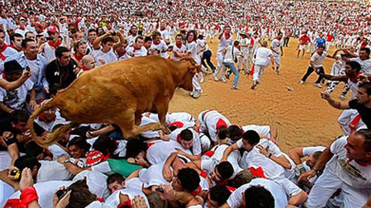 Un toro entra a la plaça durant el Sant Fermín del 2010.