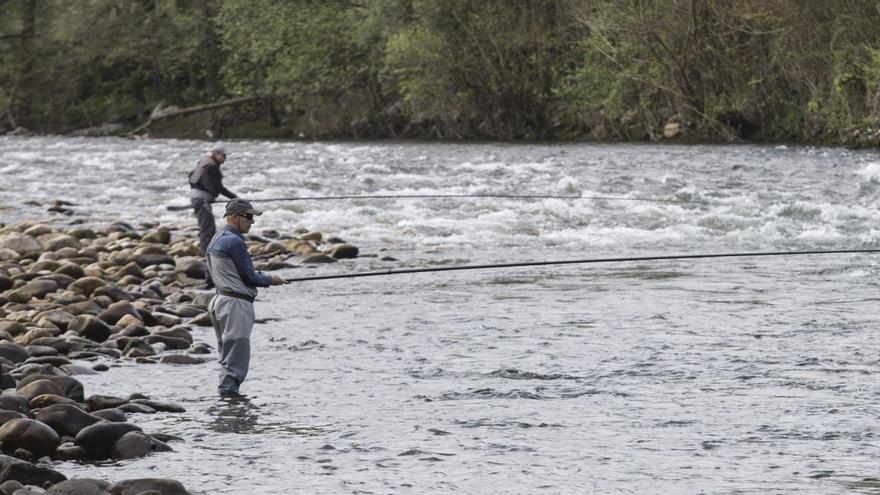Pescadores en el río Narcea.