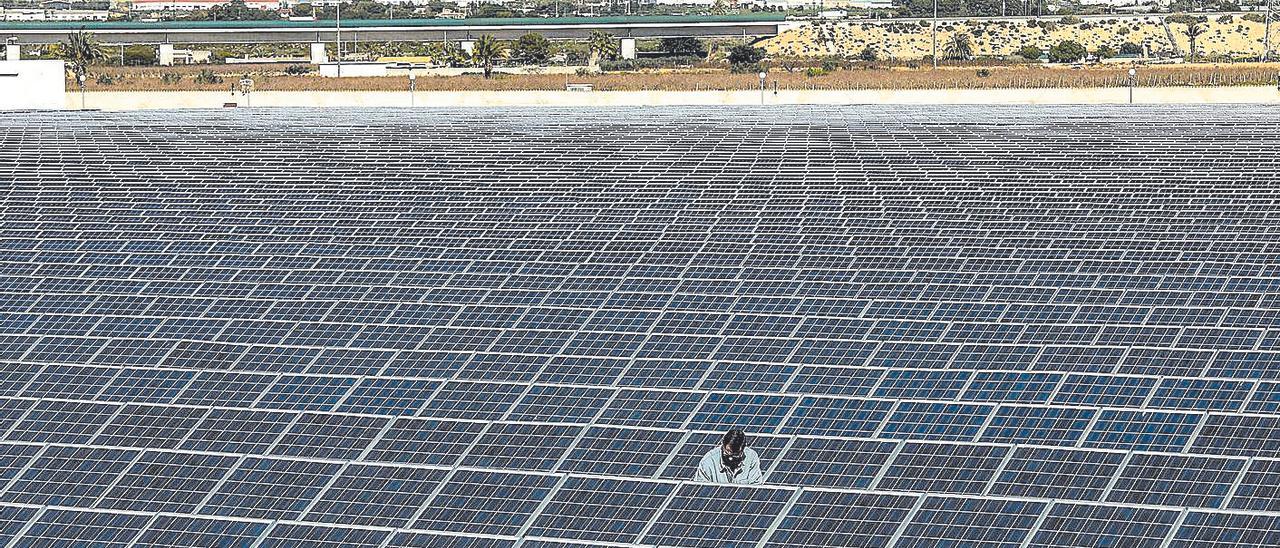 Planta fotovoltaica de la Cooperativa Crevillent a Elx