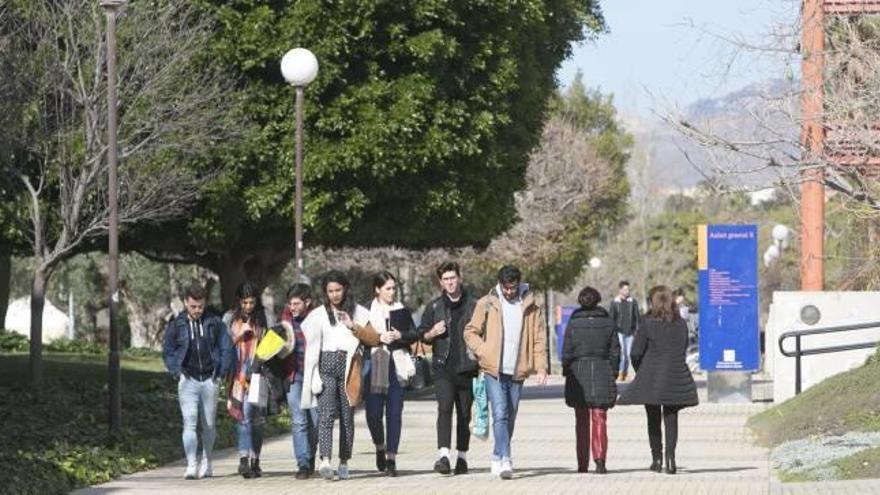 Los jóvenes alicantinos, los más discriminados