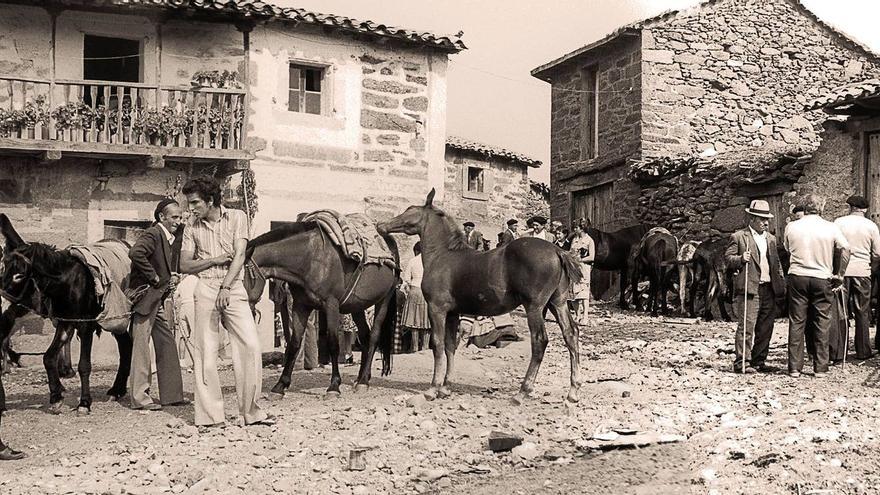 GALERÍA | Imágenes antiguas de Sanabria: una mirada al pasado no muy lejano