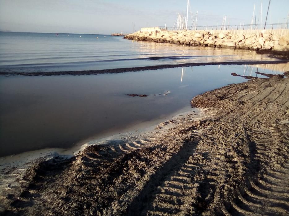 Continúa la retirada de posidonia con excavadoras: ahora, sa Ràpita