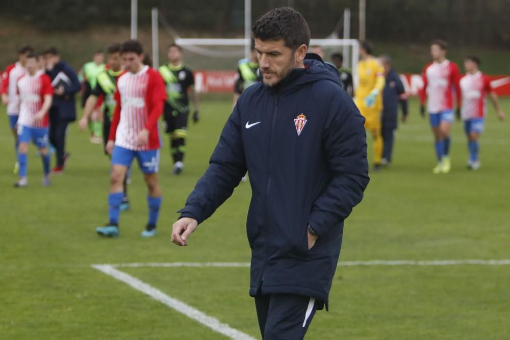 Sporting B-Rayo Majadahonda