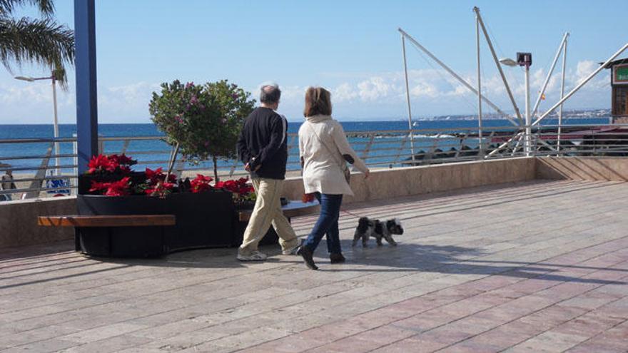 Una pareja pasea a su mascota por Marbella.