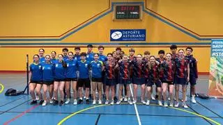 Asturias se enfrenta a Francia y Singapur en un amistoso de bádminton previo al Internacional de España