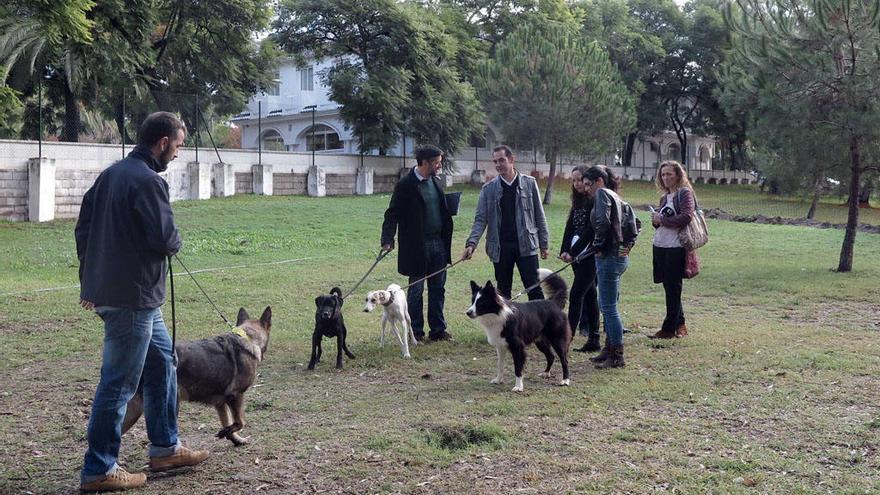Marbellíes con sus perros en un parque canino.