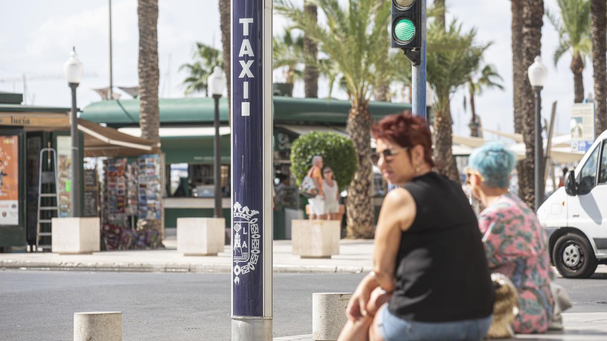 Varias personas esperan la llegada de taxis en una parada de Alicante.