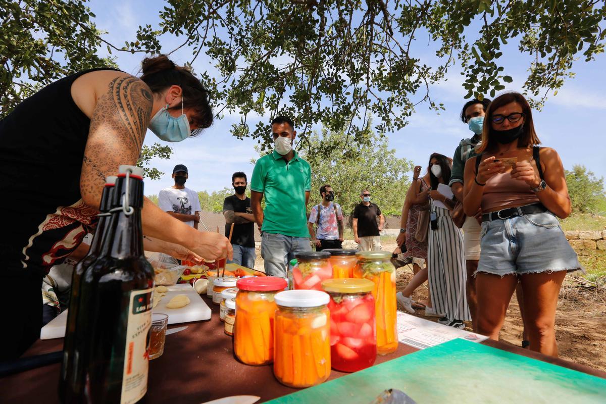 Taller de fermentación en Ibiza