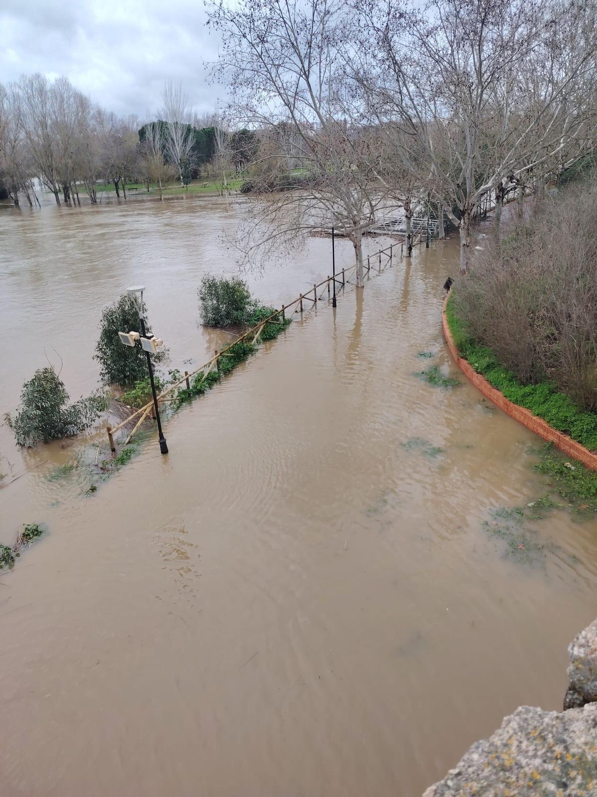 La crecida del río Guadiana a su paso por Mérida anega el parque de La Isla La crecida del río Guadiana a su paso por Mérida anega el parque de La Isla