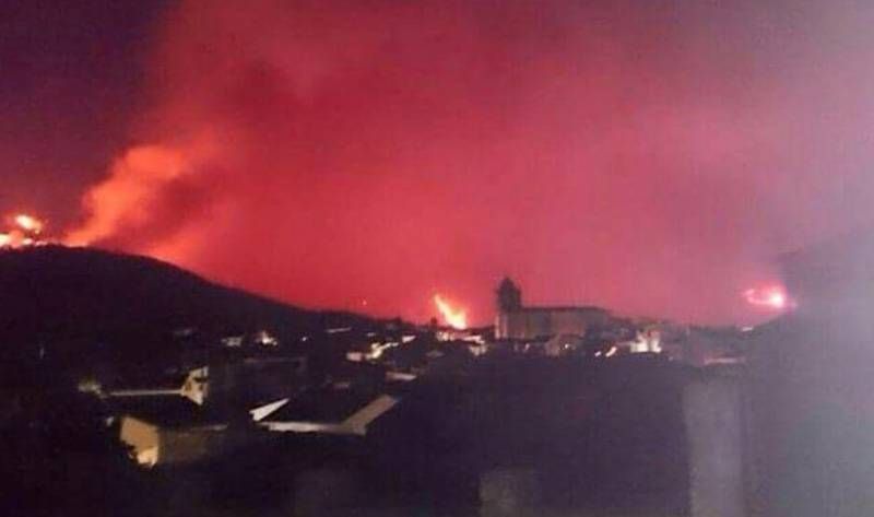 Incendio de Acebo y Perales del Puerto