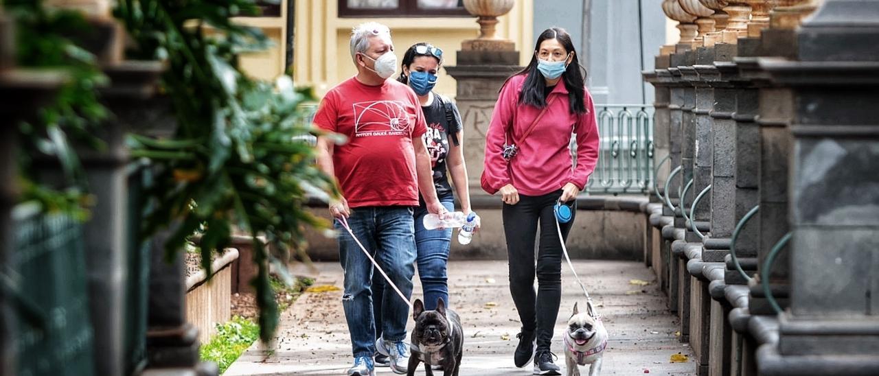 Un grupo pasea junto a sus perros con mascarilla al aire libre.