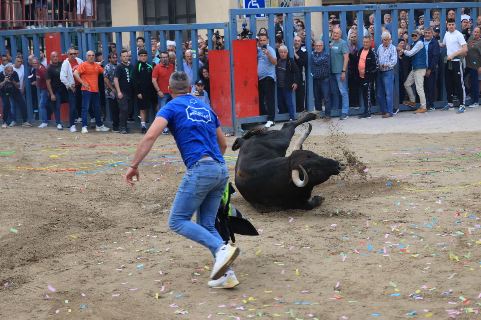 Fotos de la tarde taurina del jueves de las fiestas de Sant Pasqual en Vila-real
