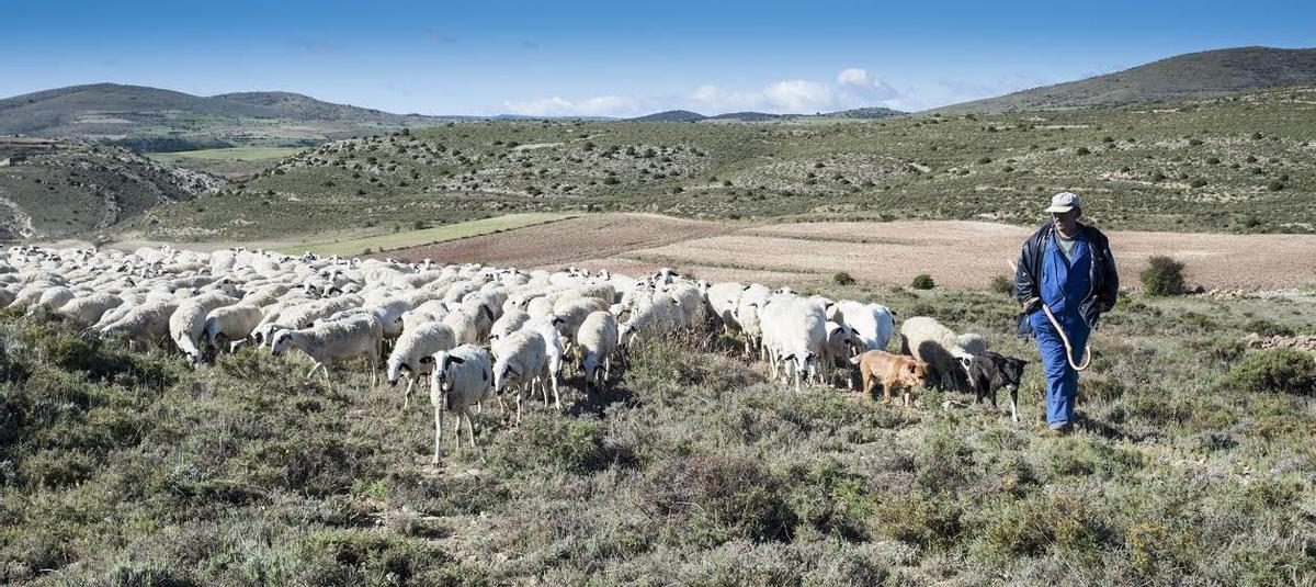Comarca Ganadera en Extremadura.