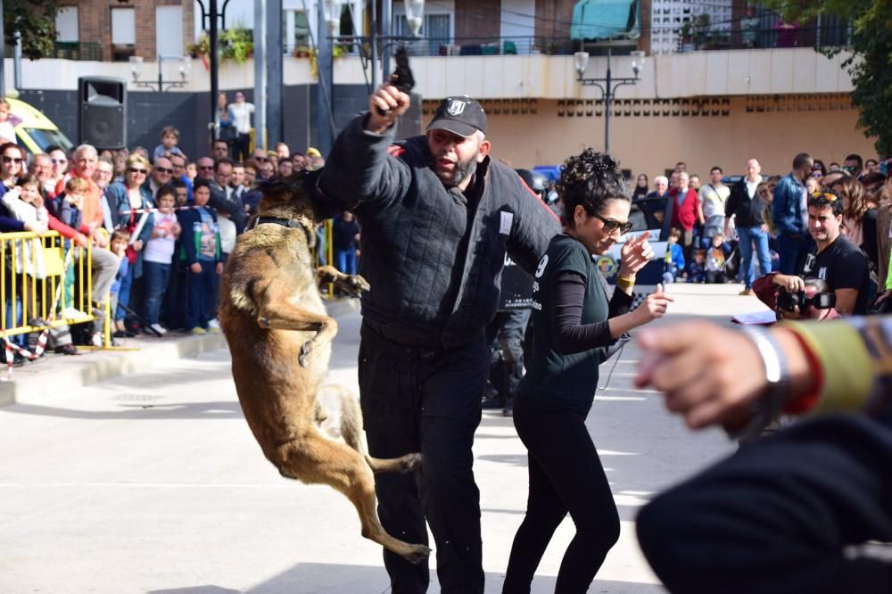 Exposición militar en Bigastro