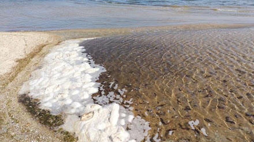 Imagen del agua de una de las playas en las que se encontraron los pepinos muertos