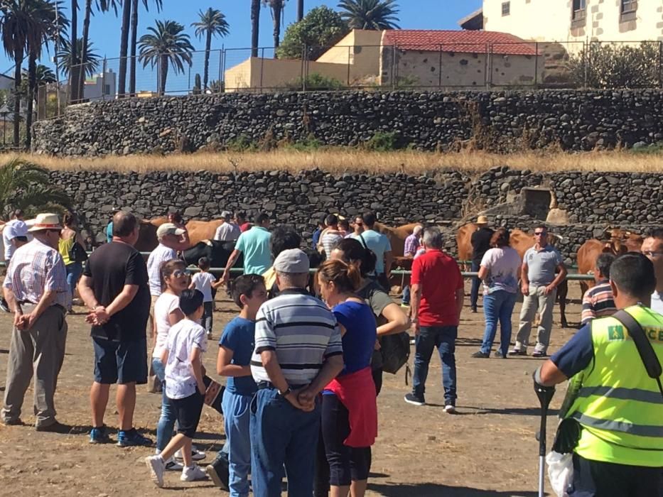 Exhibición ganado, juegos infantiles y folclore po