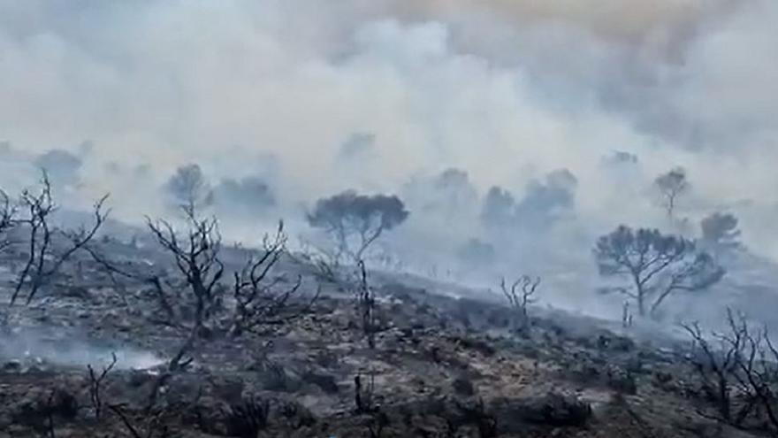 Estado del terreno del incendio en Jumilla.