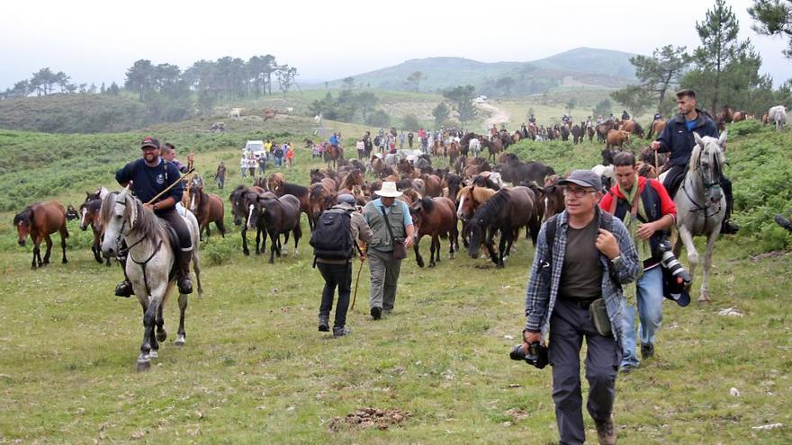 Sabucedo se echa al monte en su &#039;Rapa das bestas&#039;