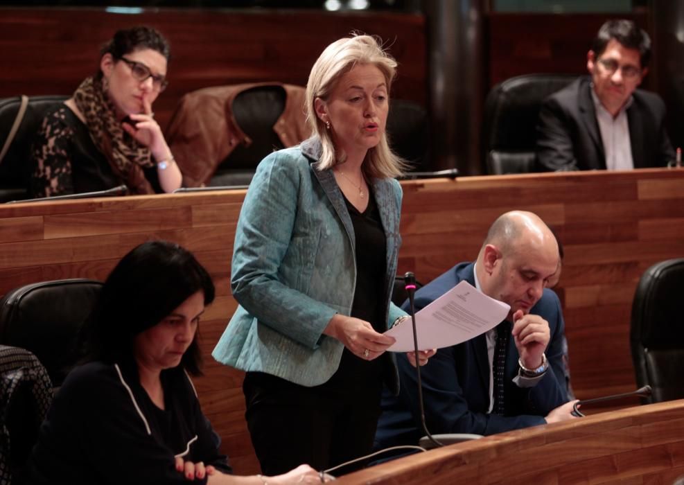 Pleno en la Junta General del Principado