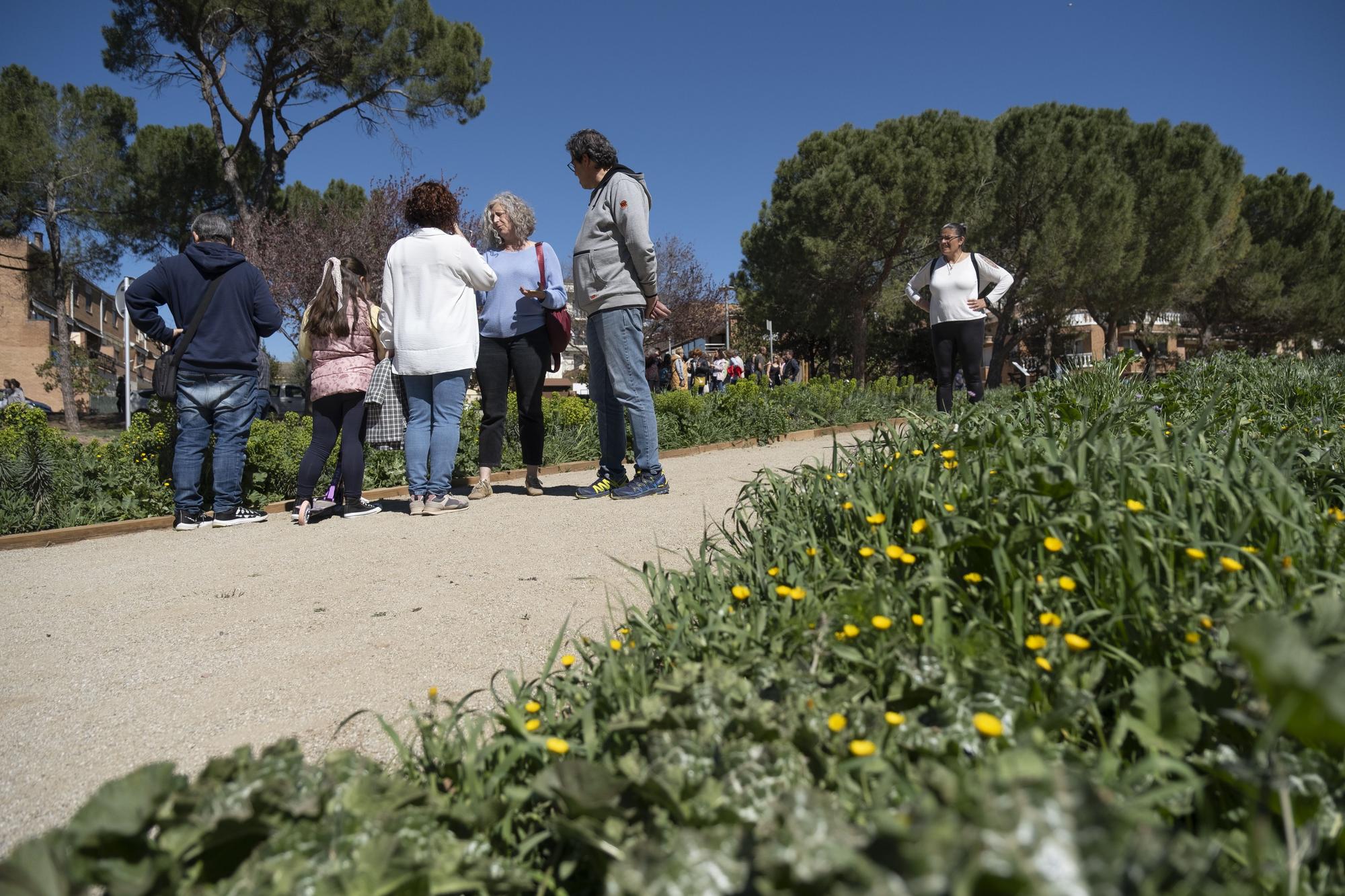 Inauguració del jardí de les papallones de Sant Fruitós