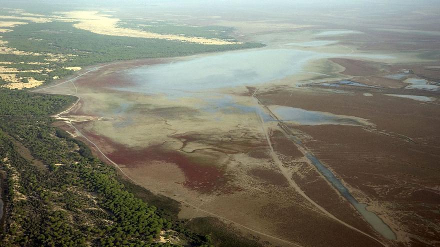 WWF urge a la Junta a asumir la responsabilidad ante estado del acuífero de Doñana