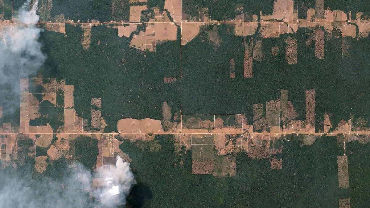 Vista aérea de la deforestación amazónica