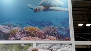 El turisme recupera la seva reclamació milmilionària de més fons europeus