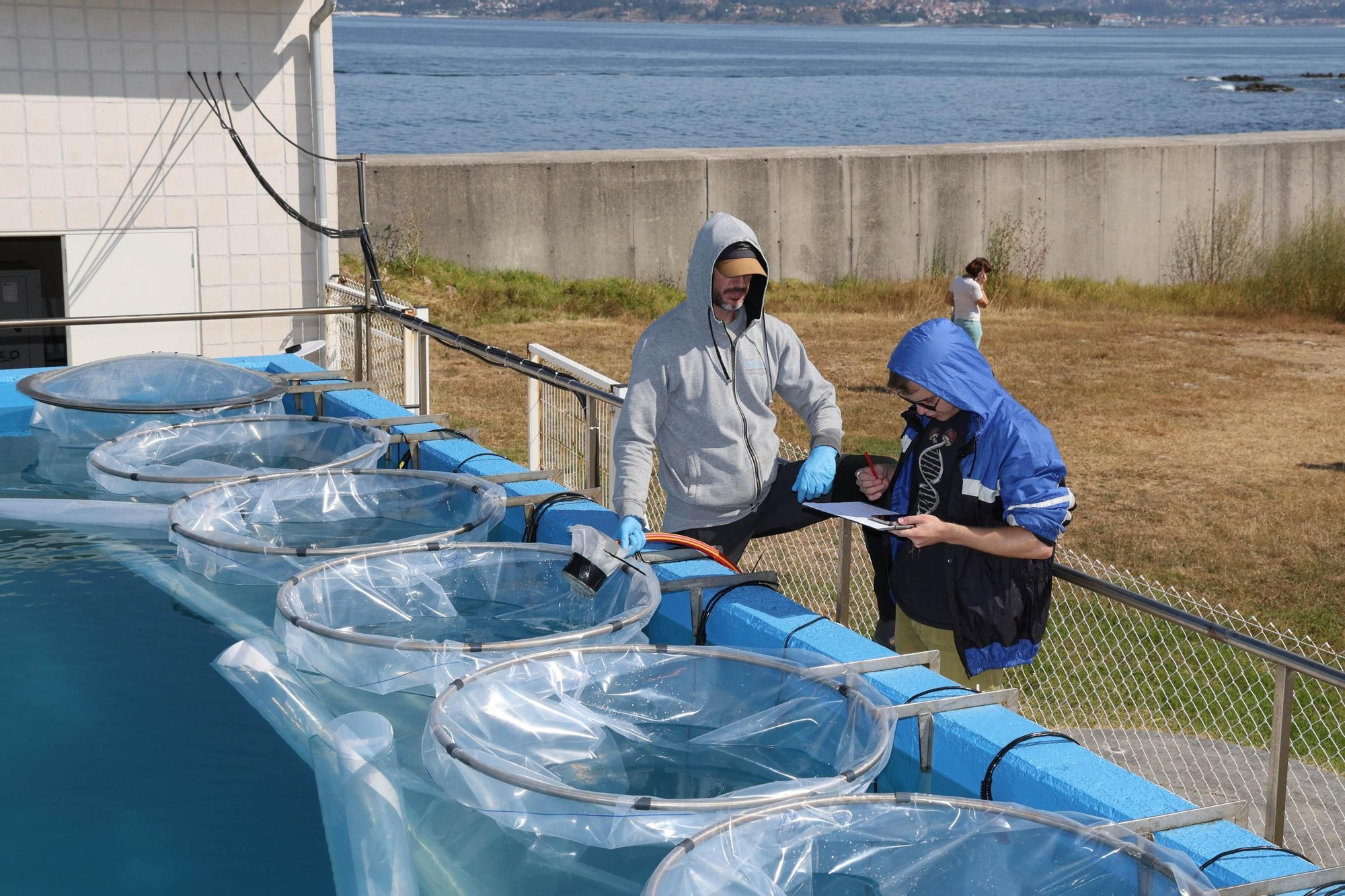 Toralla, capital de la investigación de las olas de calor y las mareas rojas