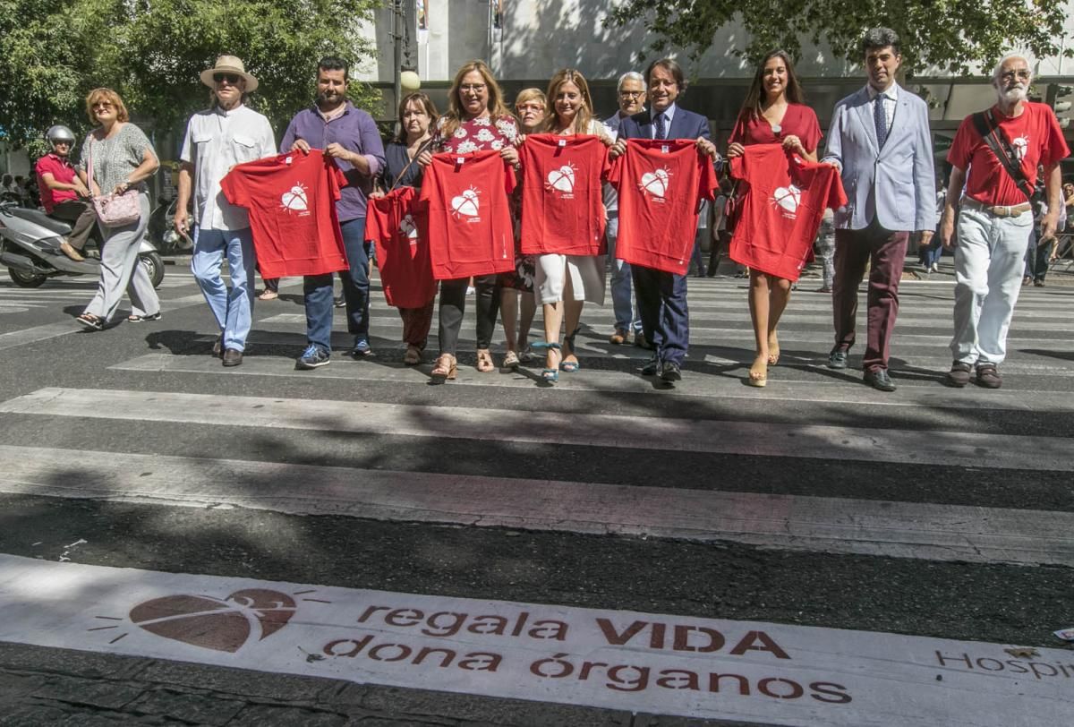 Fotogalería / Marcha del donante