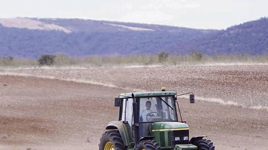 Un agricultor a los mandos de un tractor realizando labores agrarias en una parcela de Zamora.