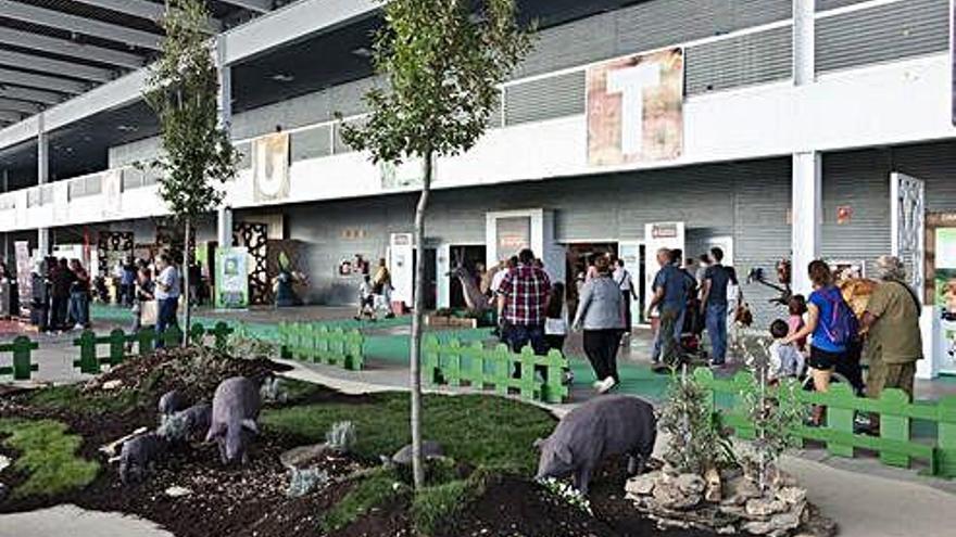 Feria Ecocultura en el recinto de Ifeza durante la jornada de ayer.