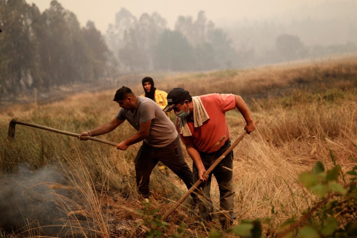 Los incendios que arrasan Chile dejan ya más de 20 muertos