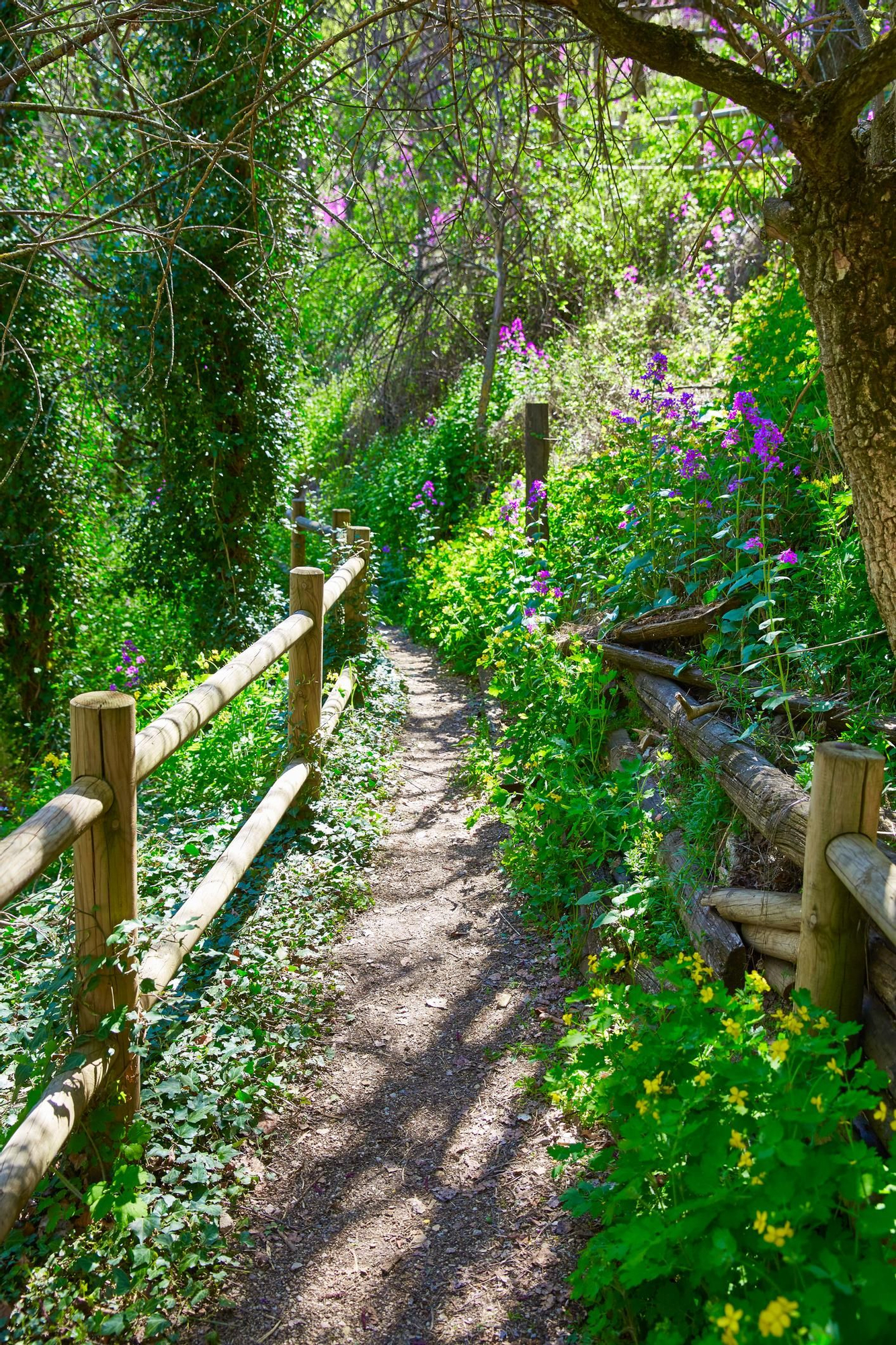 El sendero hacia la cascada de Cañete en Cuenca