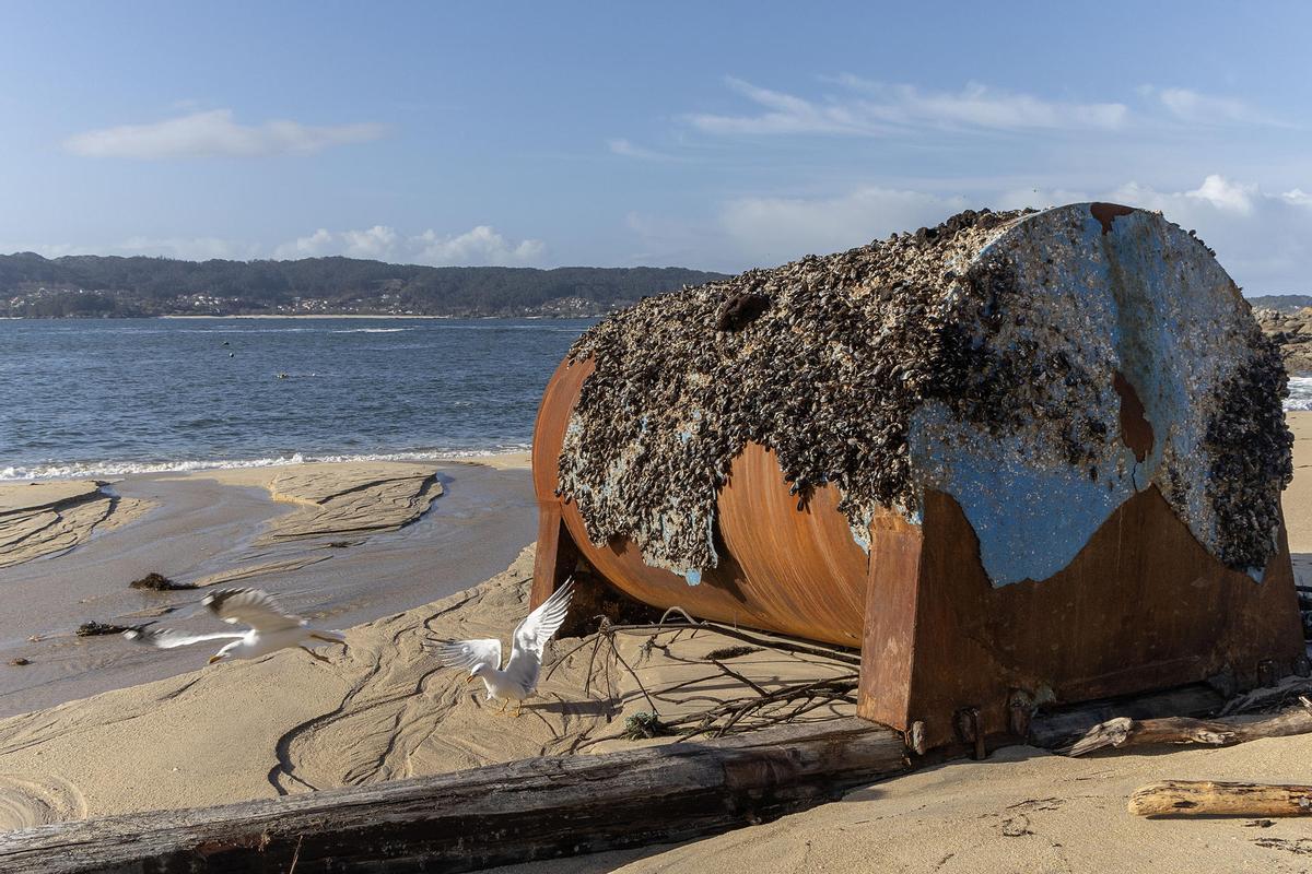 Vista de la foto playa de Area de Bon, donde han llegado este sábado montones de basura procedente del mar, incluido un flotador de una mejillonera