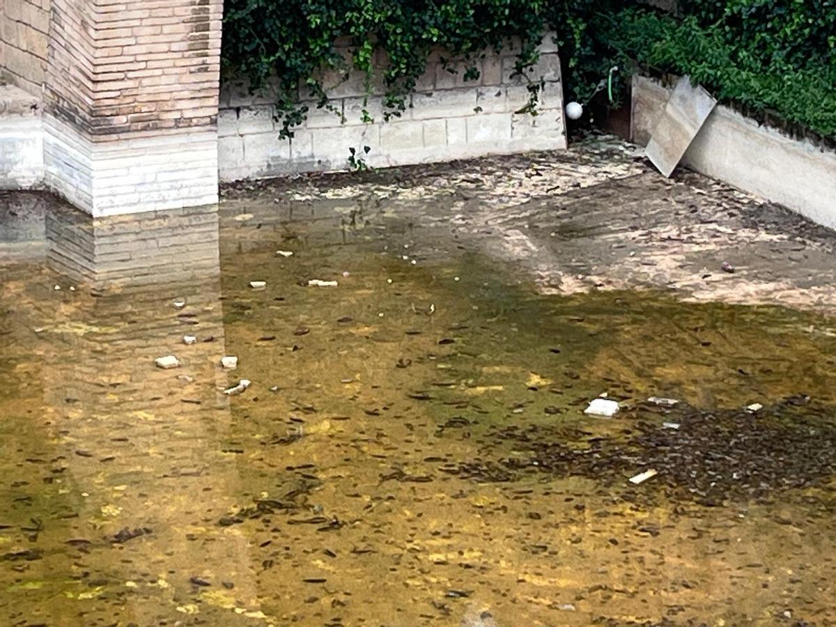 Los fragmentos que se desprenden caen al estanque en el que vivían los míticos cisnes.