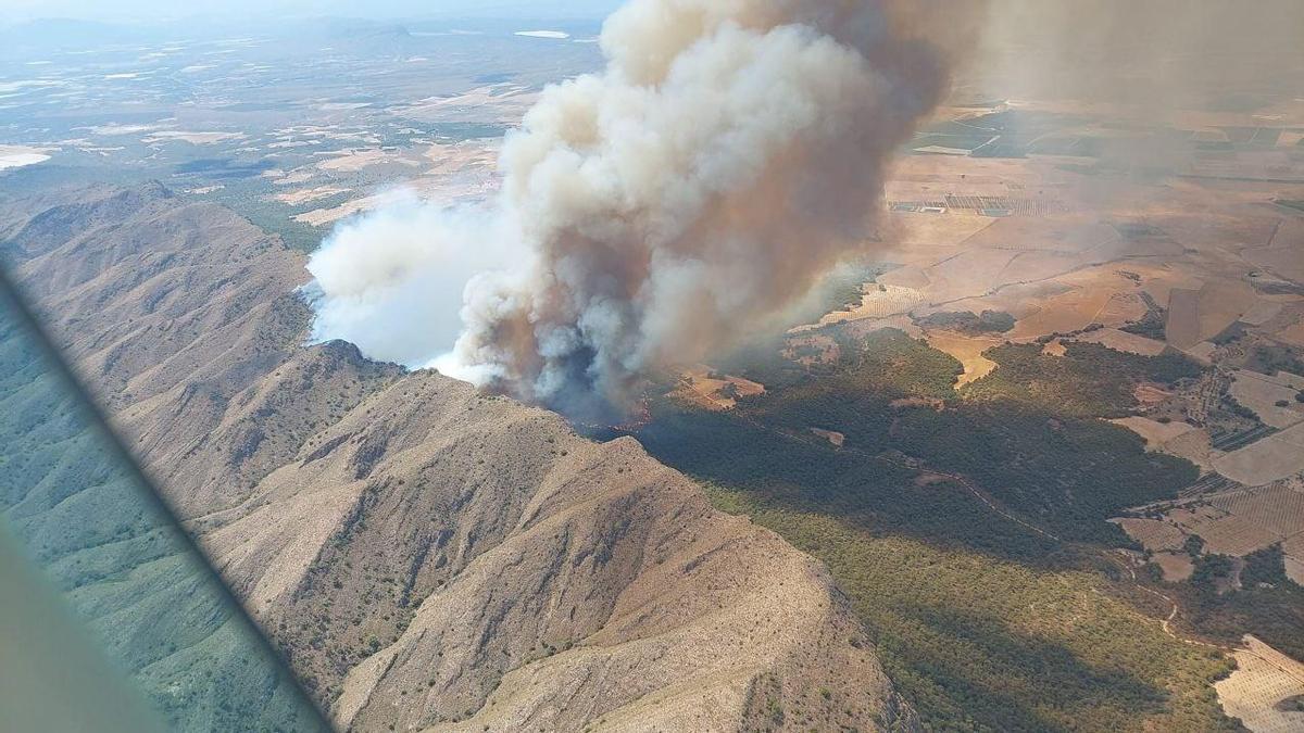 Incendio forestal en Jumilla.