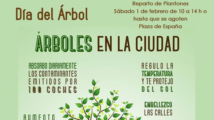 La campaña del Día del Árbol  pide perdón por las especies que generan suciedad en momentos puntuales