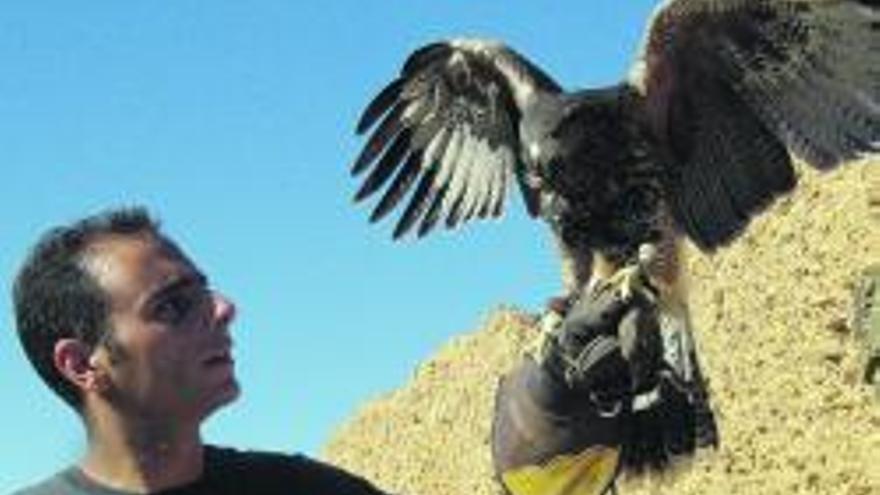 El cetrero zamorano Óscar Maniega profundiza en el mundo de las aves rapaces