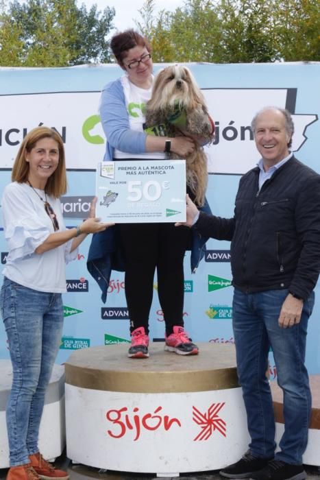 "Can We Run": Deporte, perros y solidaridad toman Gijón