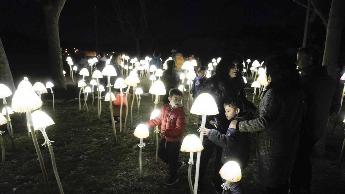 Les millors imatges dels Jardins de Llum de Manresa 2026