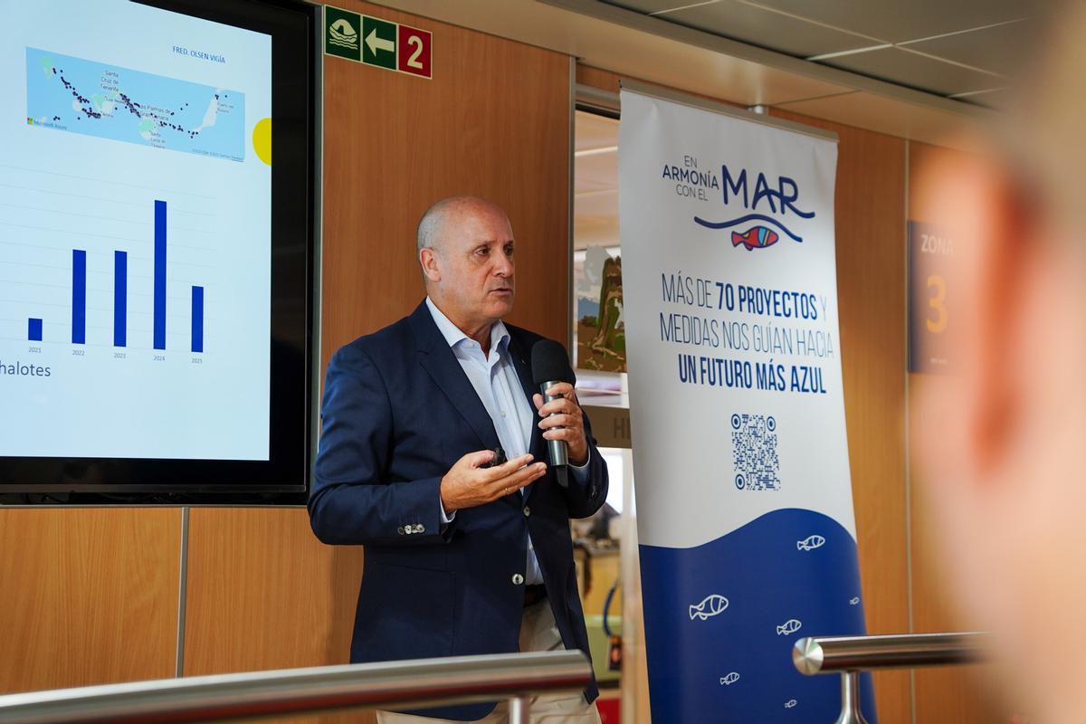 Fred. Olsen Express organiza una jornada sobre la protección de cetáceos