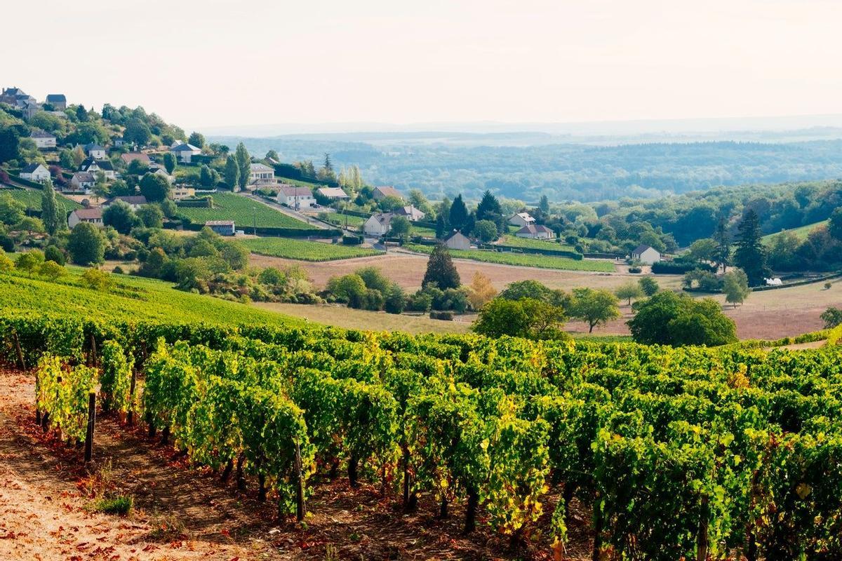 Sancerre, Francia