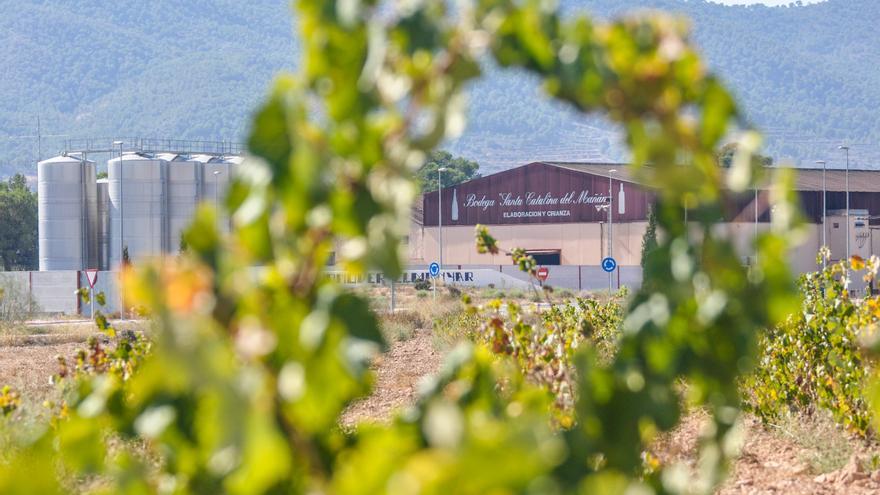 Experimenta del sabor de estos tres vinos para tres momentos especiales