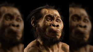 Reconstrucción de la cabeza del Homo naledi, a partir de escaneos óseos.