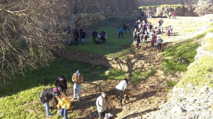 Denuncian la plantación de árboles junto a la muralla