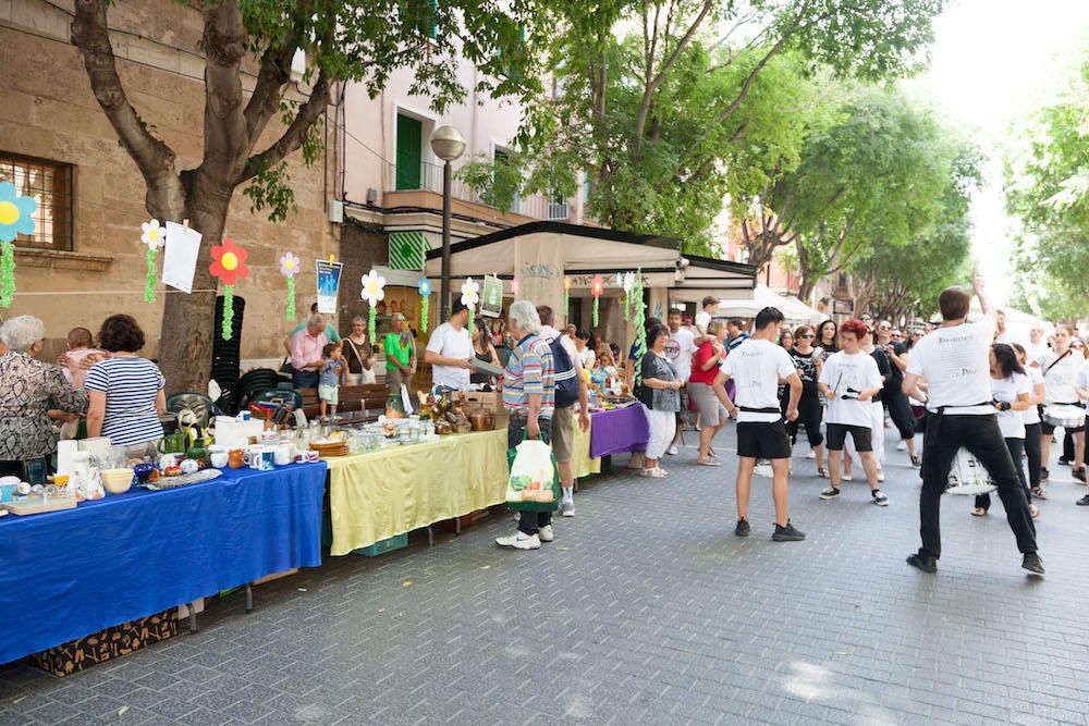 Diada del Medio Ambiente en Palma