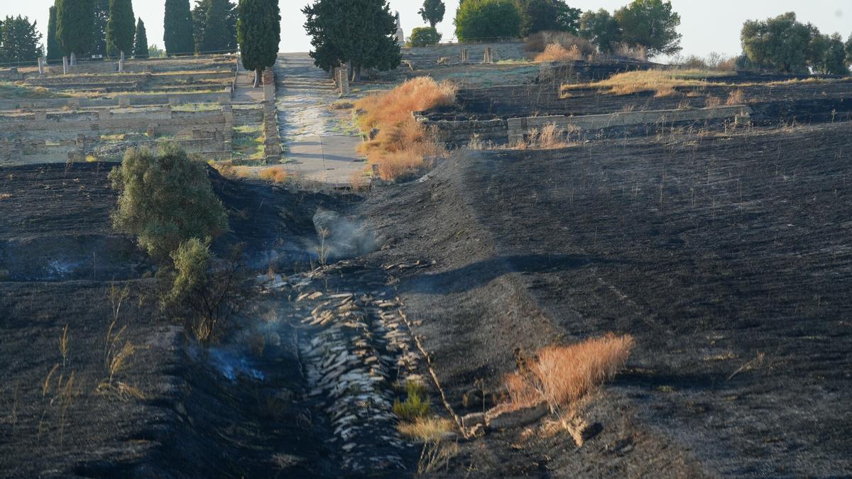 Fotogalería | Un incendio en el interior del recinto de Itálica afecta a parte de su arboleda